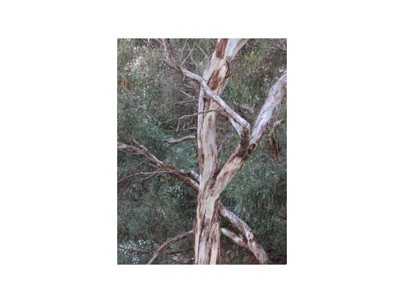 1 Gray Road, Gooseberry Hill WA 6076