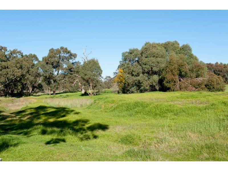 1/119 Hamilton Street, Bassendean WA 6054