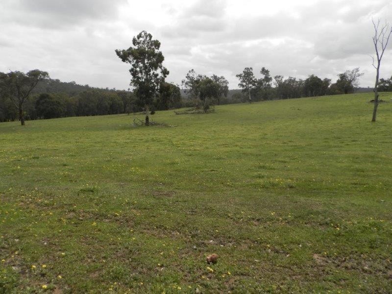 522 700 Reserve Road, Gidgegannup WA 6083