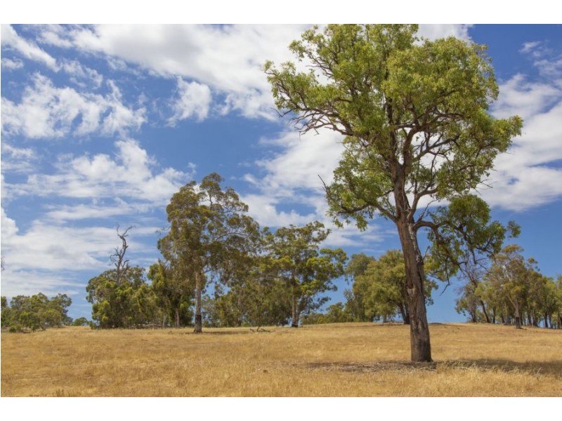 522 700 Reserve Road, Gidgegannup WA 6083