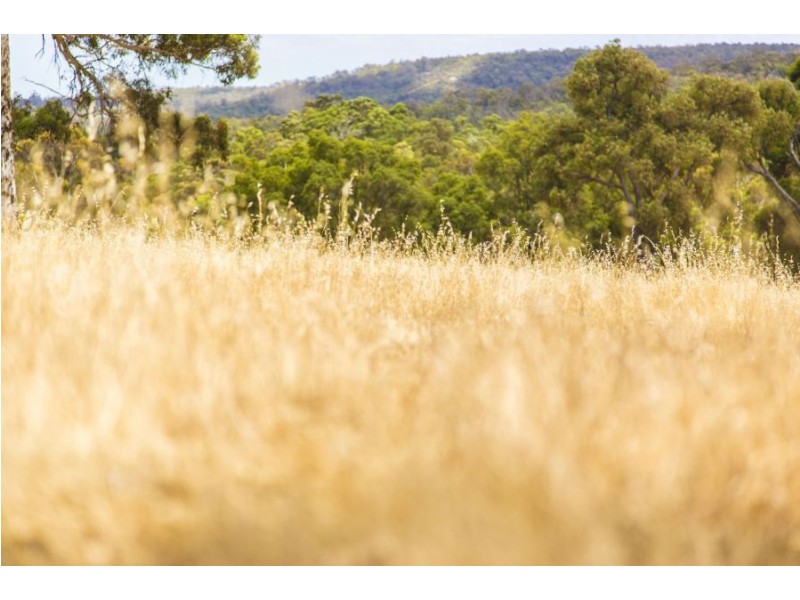 522 700 Reserve Road, Gidgegannup WA 6083