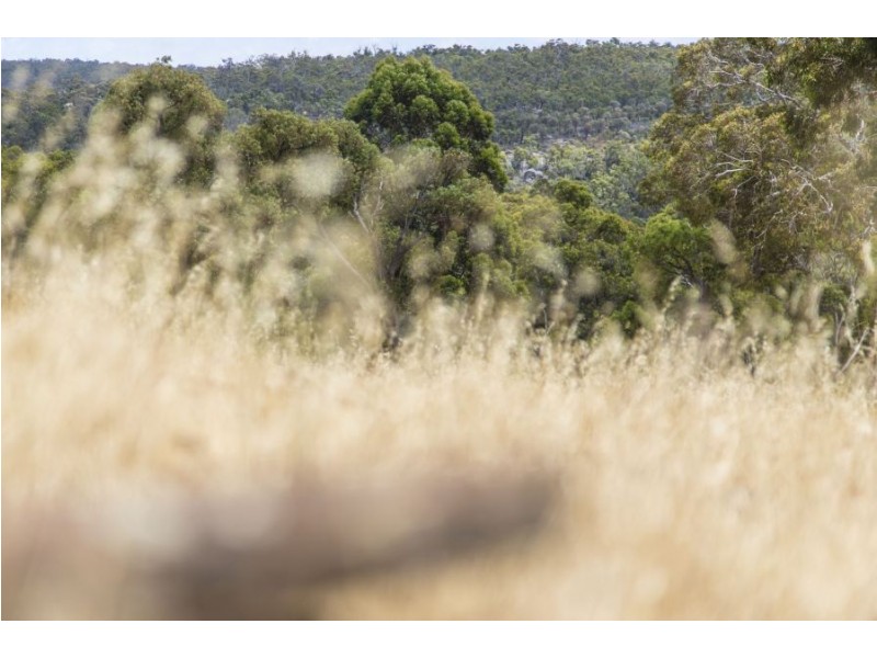 522 700 Reserve Road, Gidgegannup WA 6083