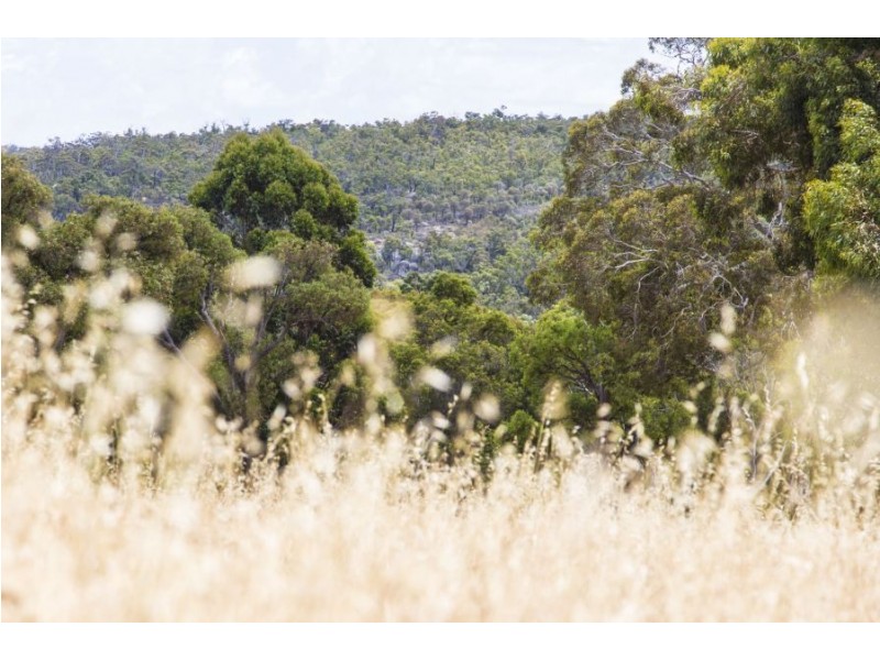 522 700 Reserve Road, Gidgegannup WA 6083