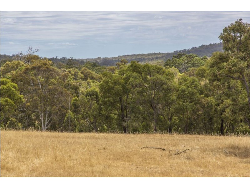 522 700 Reserve Road, Gidgegannup WA 6083