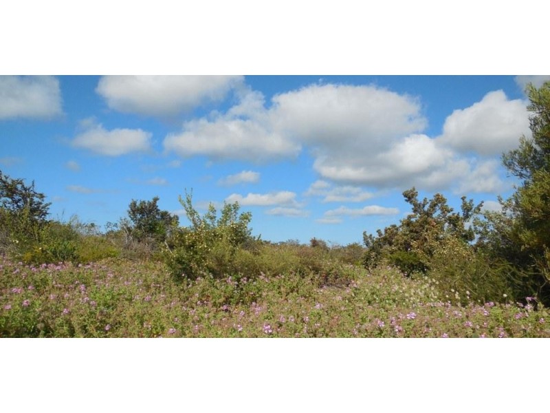 Lot 228 The Ridge, Lancelin WA 6044