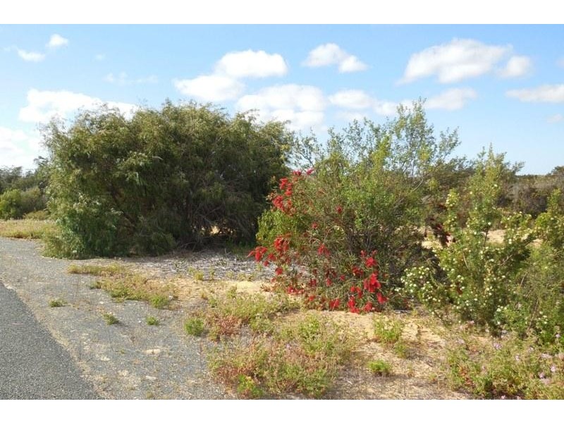 Lot 228 The Ridge, Lancelin WA 6044