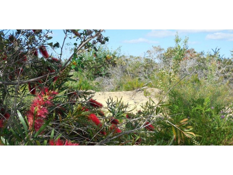 Lot 228 The Ridge, Lancelin WA 6044