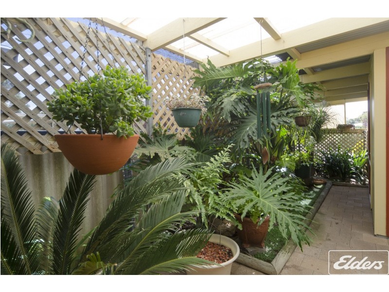 3 Bedford Drive, Goolwa North SA 5214