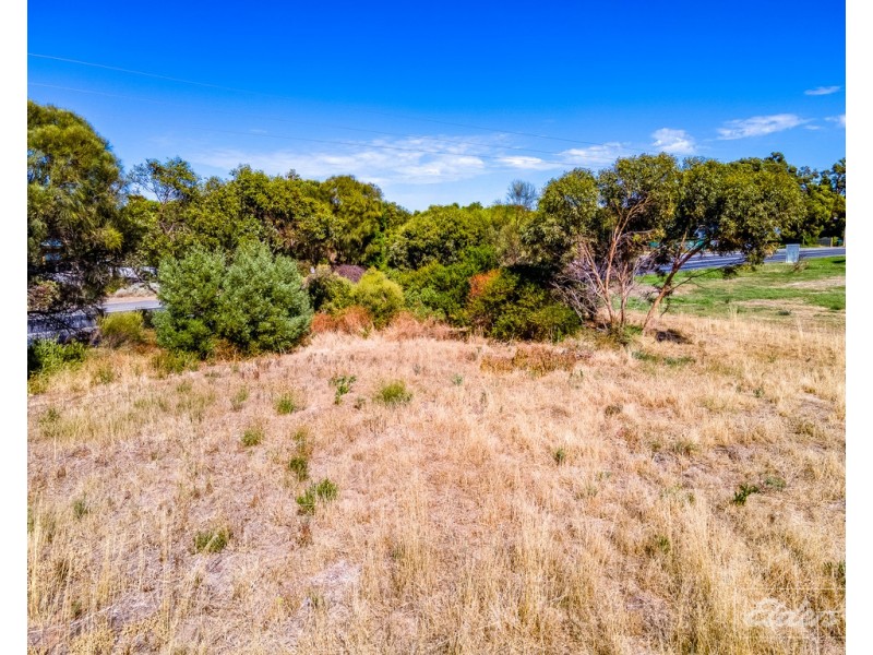 37 Randell Road, Hindmarsh Island SA 5214