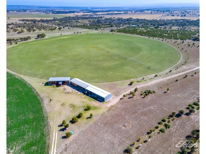 81 Sterling Downs Road, Currency Creek SA 5214
