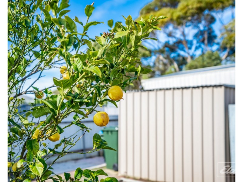 10 RICHARDS STREET, Goolwa SA 5214