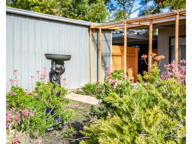 10 RICHARDS STREET, Goolwa SA 5214