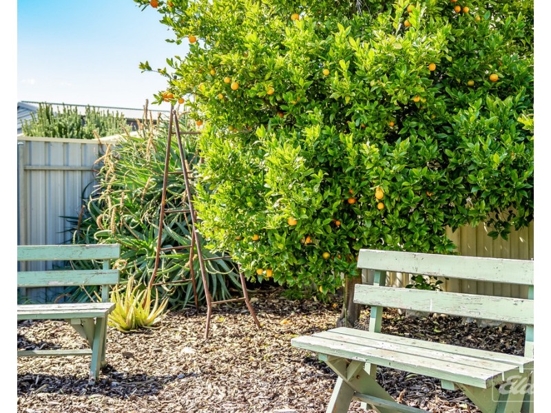 48 Golfview Road, Goolwa Beach SA 5214