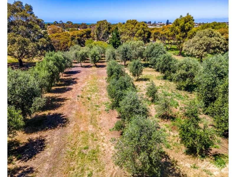 57 Waterport Road, Port Elliot SA 5212