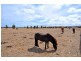 Lot 11 Boettcher Road, Middleton SA 5213
