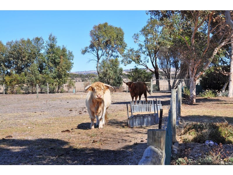 Lot 10 Cortlinye Road, Middleton SA 5213