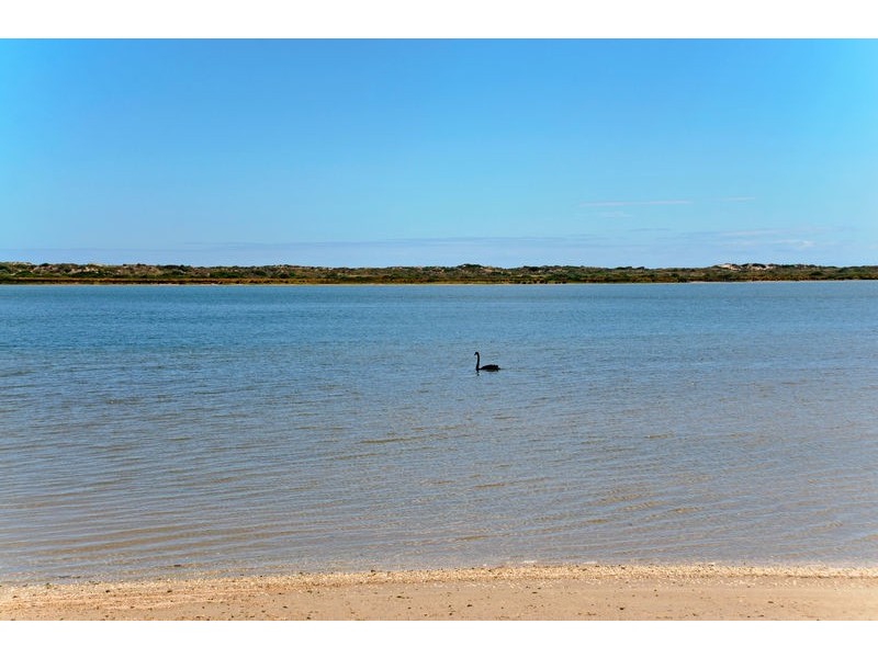 61 Goolwa Channel Drive, Hindmarsh Island SA 5214