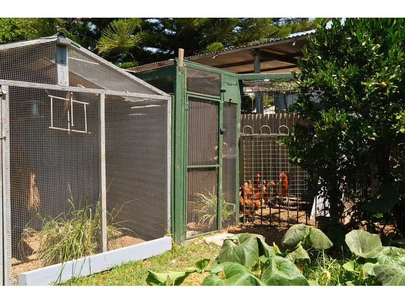 49 Shepherd Avenue, Goolwa SA 5214