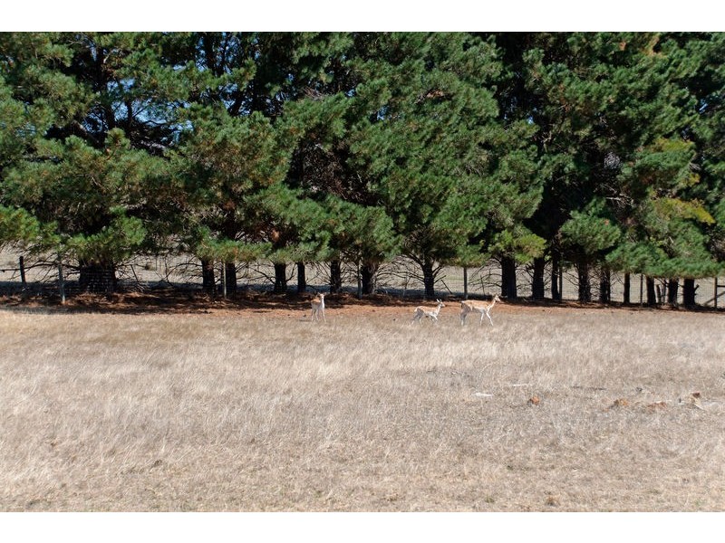 1138B Nangkita Road, Tooperang SA 5255