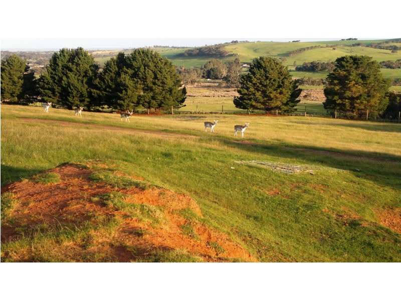 1138B Nangkita Road, Tooperang SA 5255