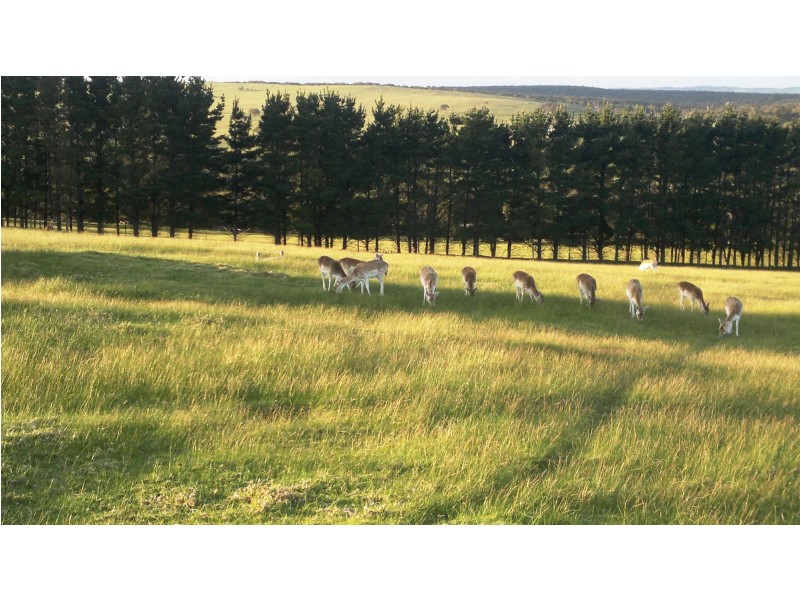 1138B Nangkita Road, Tooperang SA 5255