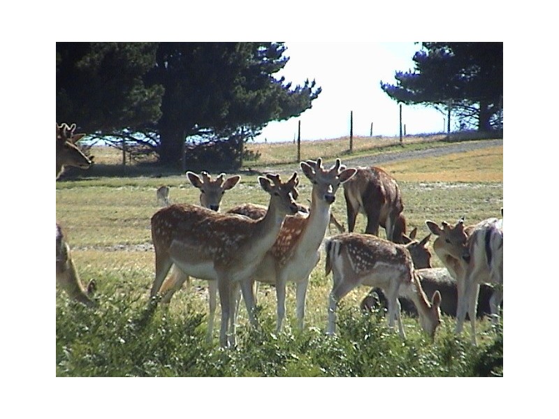 1138B Nangkita Road, Tooperang SA 5255