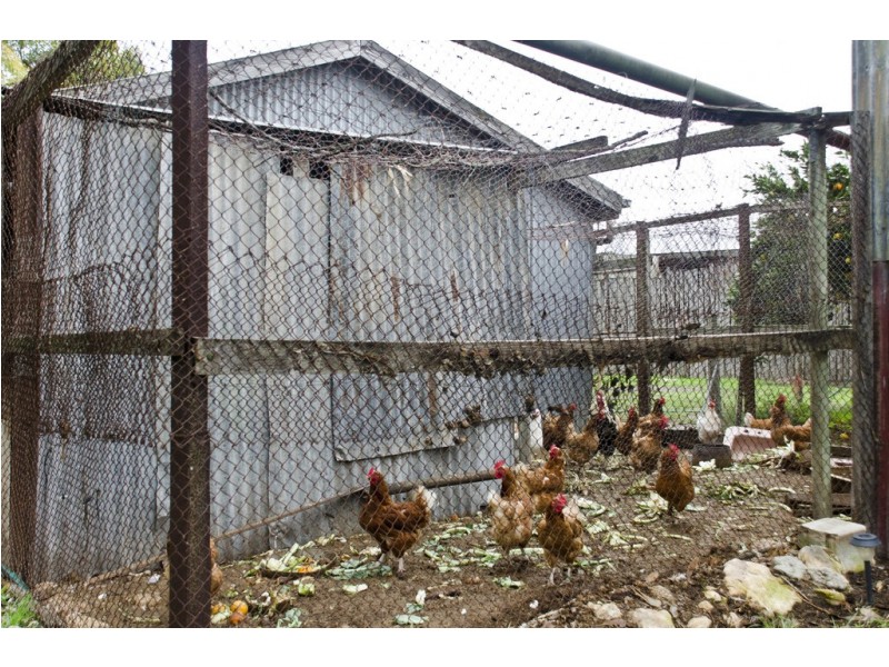 42 Banfield Road, Goolwa North SA 5214