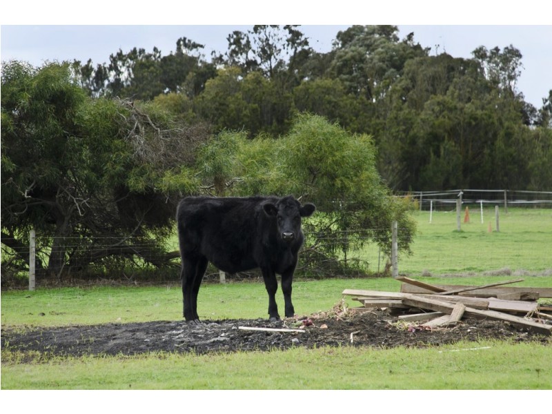 42 Banfield Road, Goolwa North SA 5214