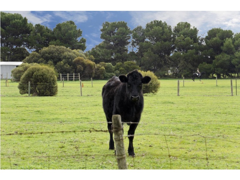 42 Banfield Road, Goolwa North SA 5214