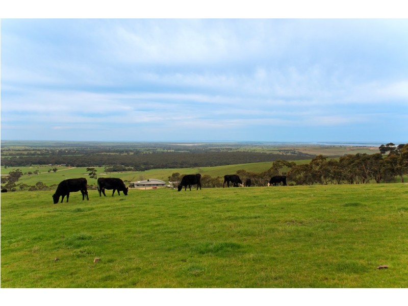 Lot 50 Kokoda Road, Mount Compass SA 5210