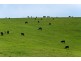Lot 50 Kokoda Road, Mount Compass SA 5210