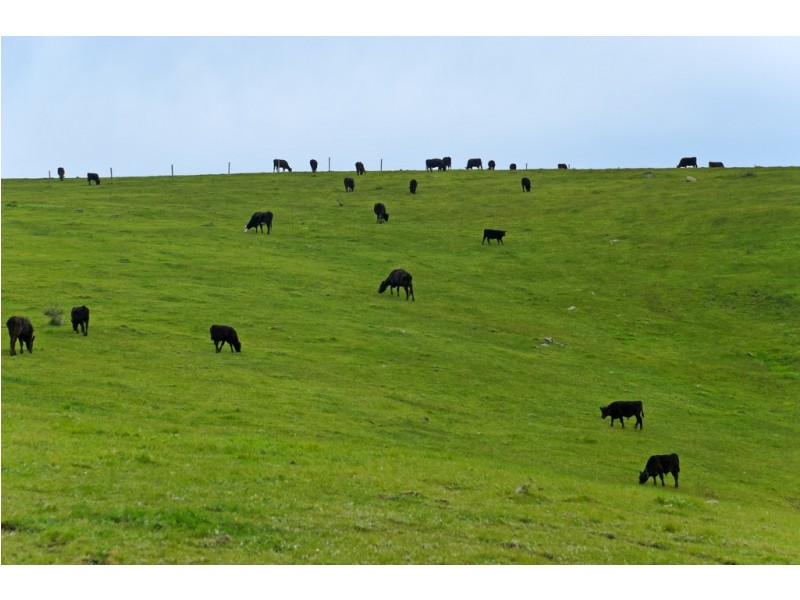 Lot 50 Kokoda Road, Mount Compass SA 5210