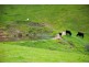 Lot 50 Kokoda Road, Mount Compass SA 5210