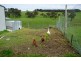 Lot 50 Kokoda Road, Mount Compass SA 5210