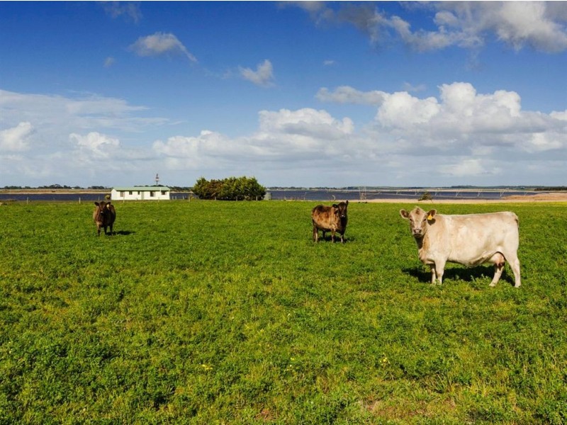 81 Sterling Downs Road, Currency Creek SA 5214