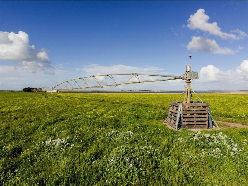 81 Sterling Downs Road, Currency Creek SA 5214