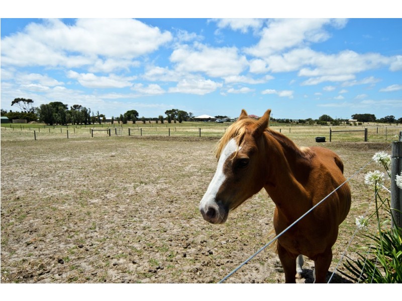 70 Rickaby Road, Goolwa North SA 5214