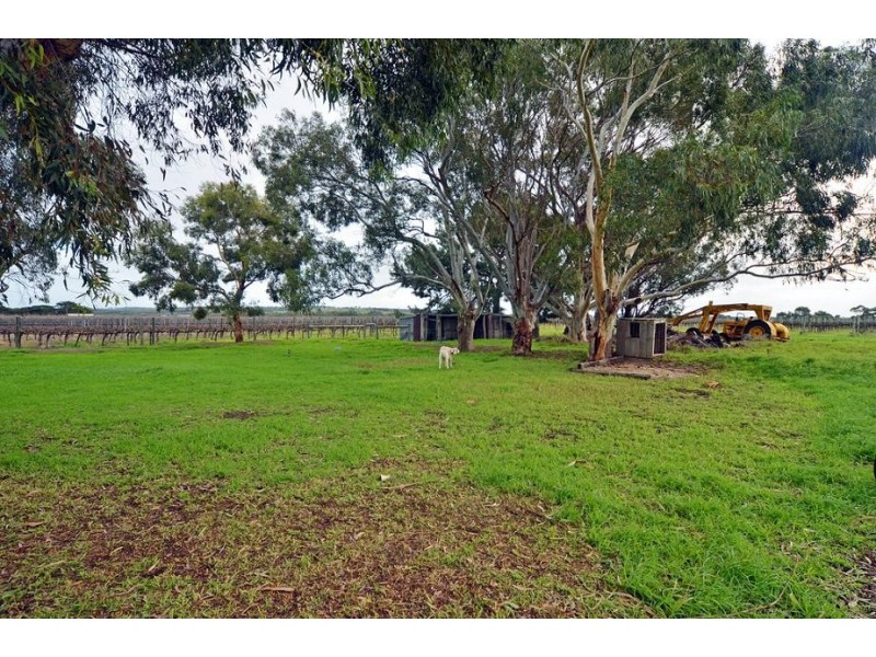 131 Myrtle Grove Road, Currency Creek SA 5214