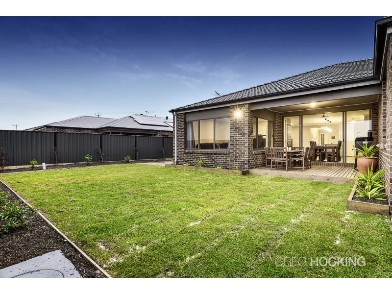 31 Tableland Road, Tarneit VIC 3029