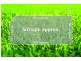 468 Morris Road, Truganina VIC 3029