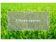 Lot 1306 Shady Street, Werribee VIC 3030