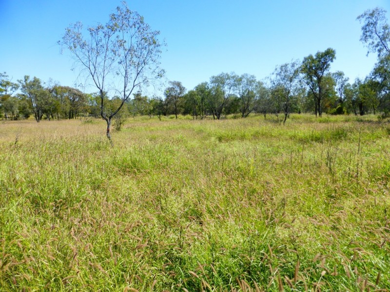 538 Montrose Road, Capella QLD 4723