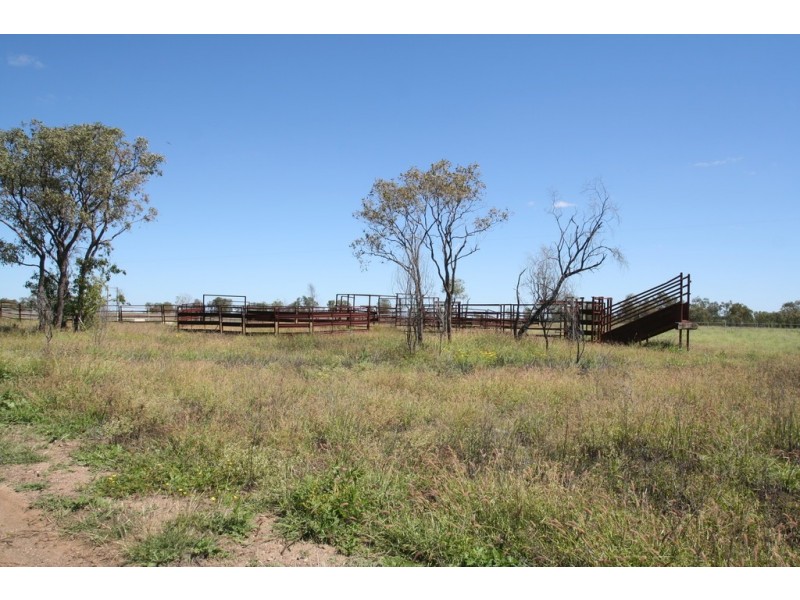 538 Montrose Road, Capella QLD 4723
