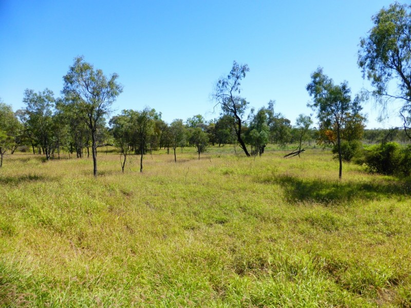 538 Montrose Road, Capella QLD 4723