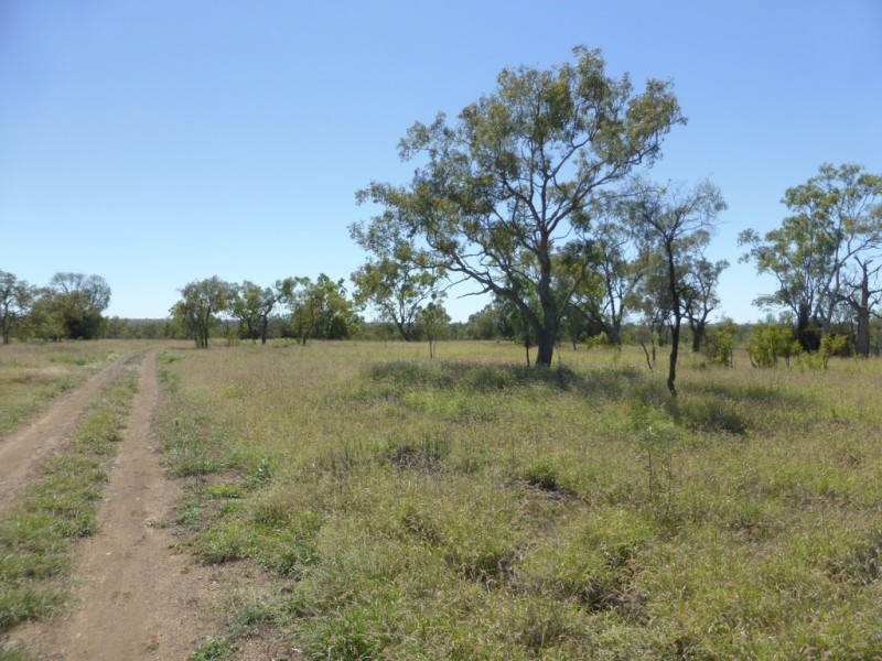 538 Montrose Road, Capella QLD 4723