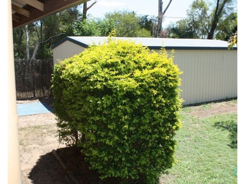 34 Bonython Drive, Emerald QLD 4720