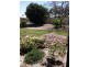 40 Crinum Crescent, Emerald QLD 4720