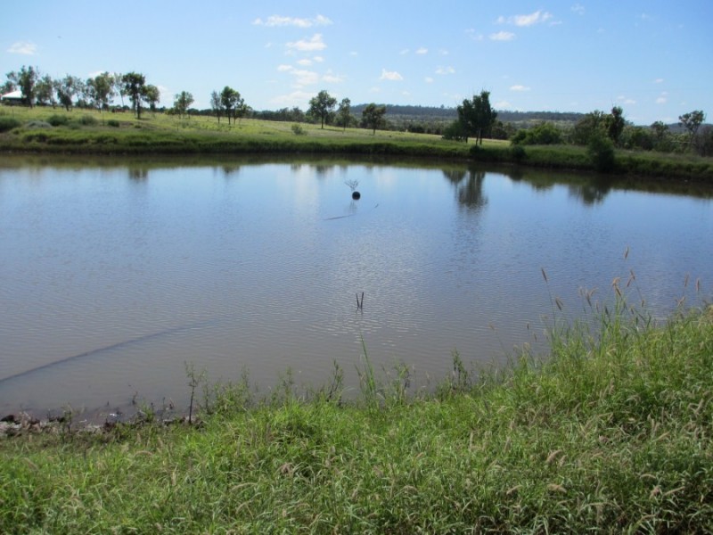 Lot 4 Capricorn Highway, Comet QLD 4702