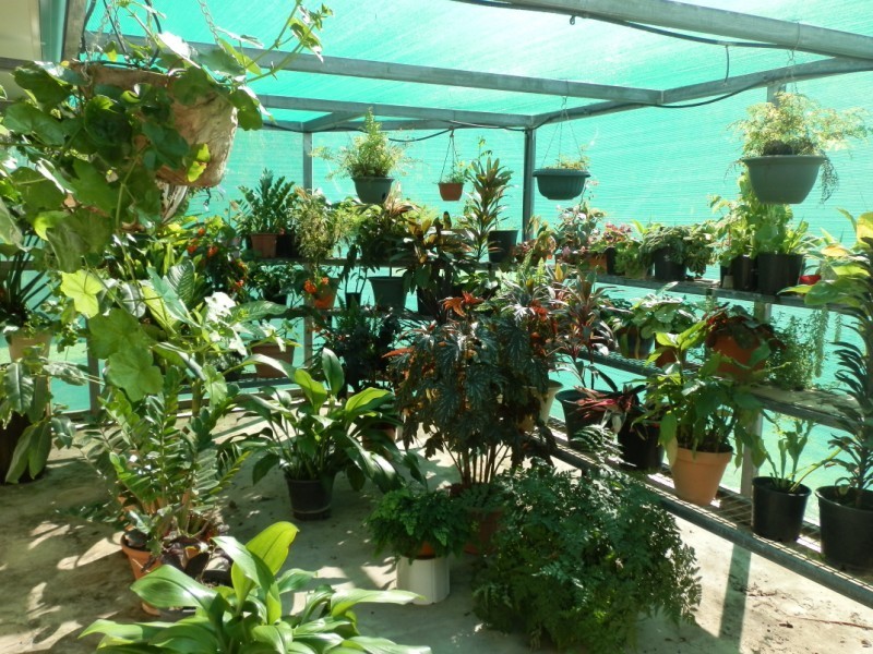 20 Akubra Drive, Emerald QLD 4720