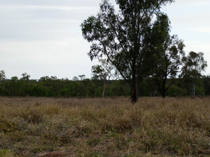 Lot 14 Patanga Place, Emerald QLD 4720